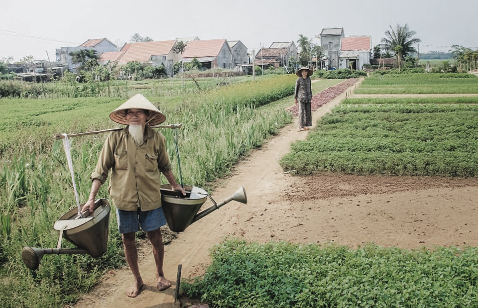 Tra Que Vegetable Village